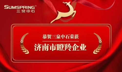Sumspring三泉中石被認定為“瞪羚企業”(圖1)